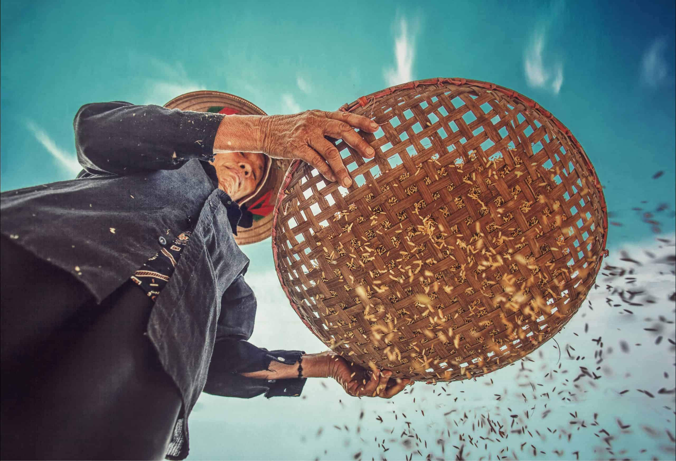 Tuan anh tran tHfJ3mevHi0 unsplash